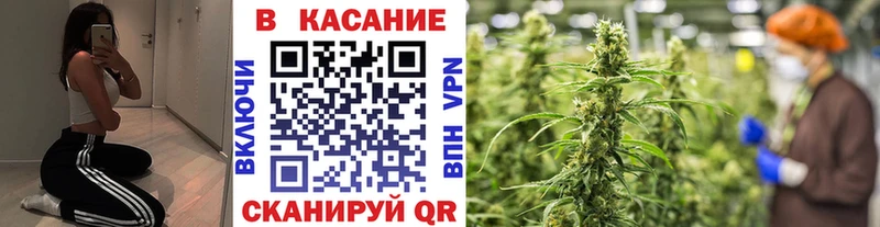 Купить закладку Каменск-Уральский omg рабочий сайт  Псилоцибиновые грибы  ГАШ  МЕФ  А ПВП  Cocaine 