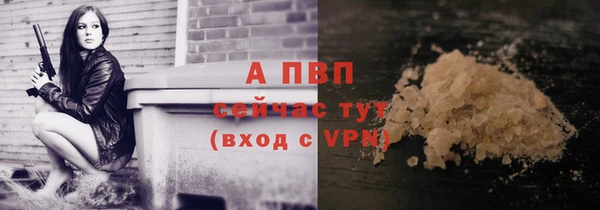 PSILOCYBIN Абаза