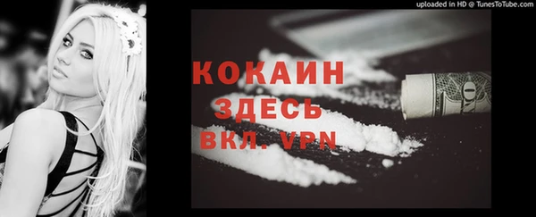 PSILOCYBIN Абаза