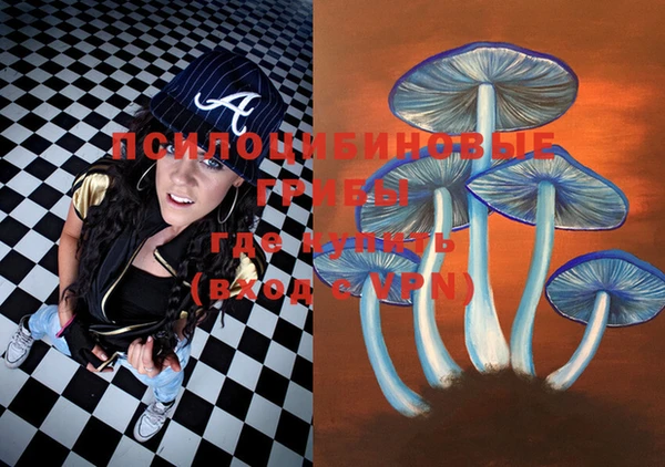 PSILOCYBIN Абаза